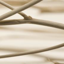 highres twigs opacity i